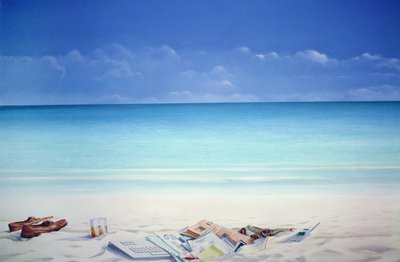 Beach Broker by Lincoln Seligman